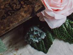 𝐷𝑒𝑎𝑟. 𝐽𝑒𝑓𝑓𝑟𝑒𝑦 𝐶𝑙𝑒𝑜