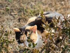 2021.01.26 투표부탁