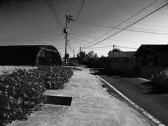 [ 화이석태 ] 🚗