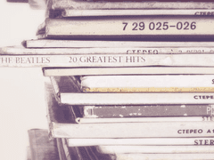 고요한 자연의 기록.