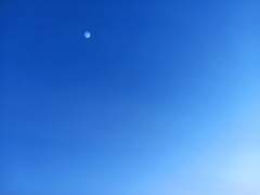 다이에이 드림 시라카와 드림4