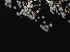 황시목이 장례를 준비한다는 소문이 들렸다.