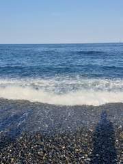 오늘의 일기(23,회사,밤,성공,퇴사)