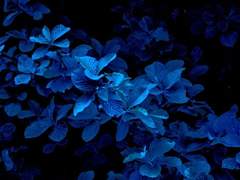 [도예빈 1] 공개용