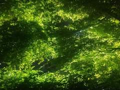 건어물파의 하루