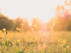 무릇 어린아이를 대한다는 것은 (1)