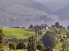 요람 속 울음은