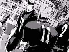 하이큐 드림/상황문답-놀이동산 고인물 여주