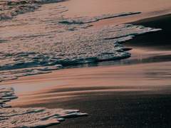 드넓은 대양의 지배자이자,