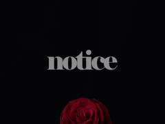 저는 '재도' 만 합니다. (간단한 안내)