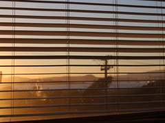 바보같은 약속, 바보같은 사랑을 위해