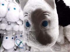 내가 배운 사랑의 의미는 힘이었다.