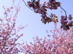 [황시목] 갑자기 가이드 38