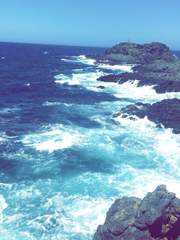 우리가 라경장이 인어였다는 것을 알게 된 건