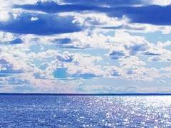 코드 | XX | 22 | 경호원