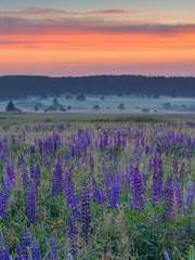 낮잠 ; 오후 2시의 나른함