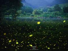 애써 고된 길을 가는 이에게