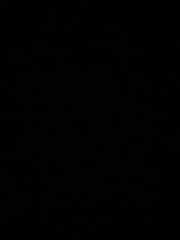 전지적 독자 시점