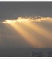 꿈왕국과 100명의 왕자님 팬소설(카페)