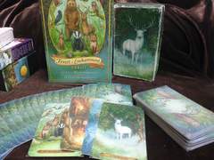 타로 카드덱 리뷰 (4) 마법의 숲 타로 카드 (Forest of enchantment tarot)