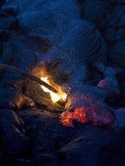 Caleb Spekies Wipera