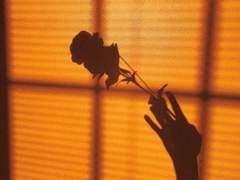 한여름의 기분 좋은 바람