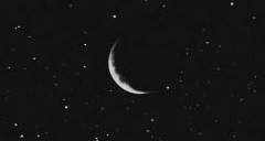 수호자의 일기 (1)