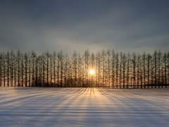 북부 대공 클리셰