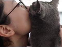 🌕 노리사니 : 相思病