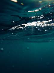 인어는 샐러리맨의 꿈을 꾸는가