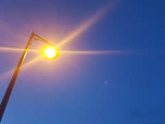 자유를 향유하는 바람.