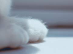 태양을 존경하고 있어요.