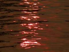 죽음이 우리를 갈라놓을 때까지