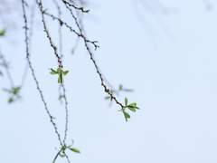 [드레해리] 사랑하게 되기까지