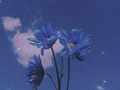 어쩌면 꿈을 이룰 수 있었기에..