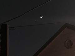 1. 나만의 꽃이 되길 바라