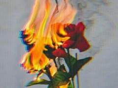 너희만 아니면...