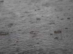 [요한로드] 빗속에서