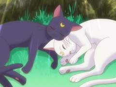 전구찌와 박샤넬 01