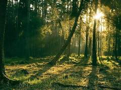 [연숩] 너의 언어-2