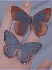 우리 이혼했어요