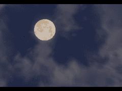 𝐌𝐞𝐦𝐞𝐧𝐭𝐨 𝐦𝐨𝐫𝐢 :