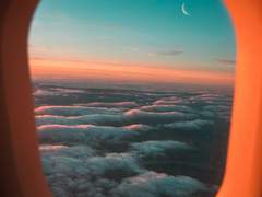 [프리베] 단단한 것