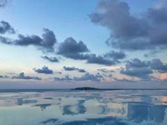 Ronefeldt T. Helitropium