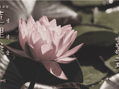 [CoC] <연리담> 공개 후기 (스포O)