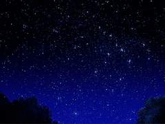 그대 사랑을...1