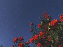 [주술회전 드림] 쓸모없는 초능력가진 드림주가 주술고전 다니는 드림