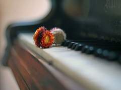 [아드마리]우리는 누구를 보고 있었나