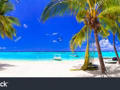 오피스 파라다이스 16