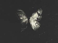 에픽하이 AP news